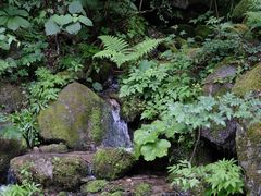 -青峰峡国家森林公园