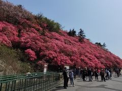 -木兰云雾山