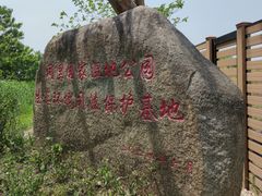 -同里国家湿地公园
