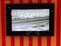 -米乐星世界KTV(汇智国际商业中心店)