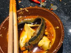 -肥龙火锅(南坪店)