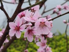 -西湖公园(鼓楼区)