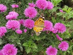 -上海植物园-4号门售票处