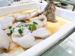 豆花鱼-金时代顺风大酒店(协泰店)