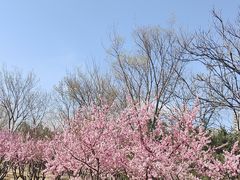 -绿堤公园