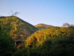 -西双版纳原始森林公园