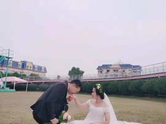 -百万葵园