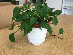 -淮海中路街道图书馆