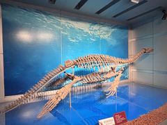 -自贡恐龙博物馆