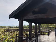 -天津东丽湖风景区