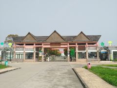 -上海都市菜园