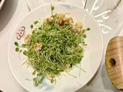 -朱记乳鸽王·非遗石岐乳鸽·全鸽宴(大兴旗舰店)