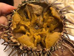 -海胆小馆(东北水饺·春柳店)