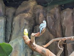 -正佳雨林生态植物园