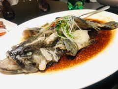 -紫阳海鲜楼·传承闽味(长乐路总店)
