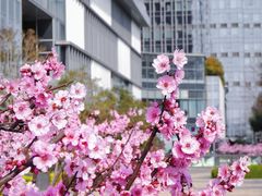 -天鹅湖体育公园