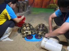 -华夏文旅海洋公园