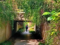 -长广溪湿地公园
