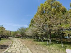 -阳澄湖半岛旅游度假区