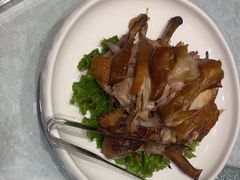 -海派美食·家宴海鲜青岛菜·石锅鲽鱼头(东方城店)
