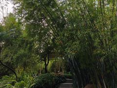 -晓港公园