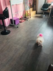 -M2匠心美甲美睫半永久