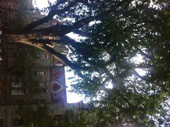 iphone_upload_pic-宾夕法尼亚大学沃顿商学院