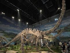 -自贡恐龙博物馆