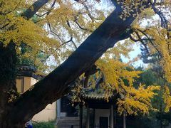 -无锡惠山寺