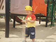 -合肥滨湖国家森林公园