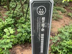 -浮槎山