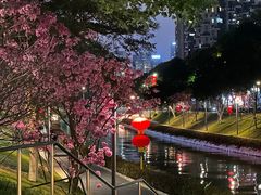 -深圳湾公园(南山区)