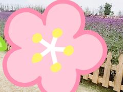 -荷兰花海