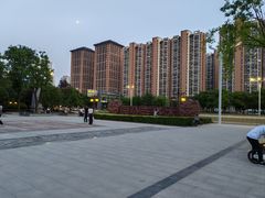 -木塔寺遗址生态公园