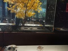 -吉布鲁牛排海鲜自助(成都大悦城店)