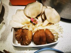 -麻辣因子滩羊火锅(世和广场店)