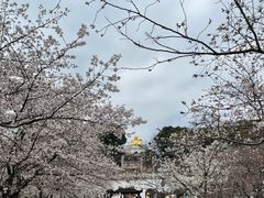 -苏州上方山国家森林公园