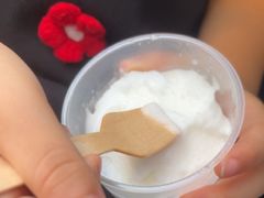 -洪馨椰子
