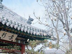 -迎泽公园