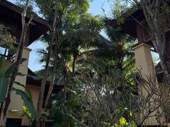 -西双版纳安纳塔拉度假酒店