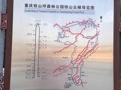 -铁山坪森林公园