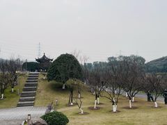 -重庆园博园