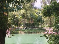 -花溪公园