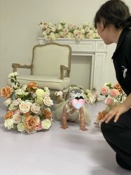 -范叔叔儿童摄影生活馆(芝麻开门欢颜店)