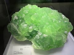 -湖南省地质博物馆