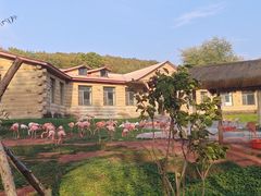 -哈尔滨北方森林动物园
