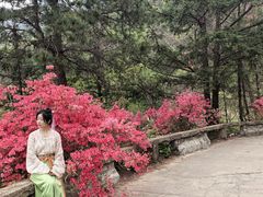 -木兰云雾山