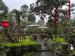 -青城甲(青城山店)