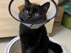 -荔康动物医院(康王北路店)