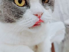 -共舞时光猫咖·狗咖(新街口店)
